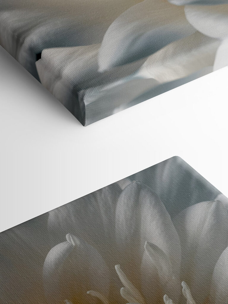 Delicate petals in soft hues