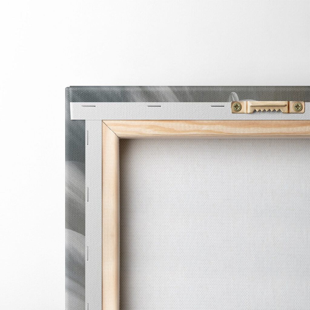 Delicate petals in soft hues