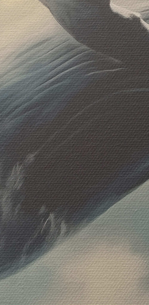 Whale jumping out of the water Whale jumping out of the water