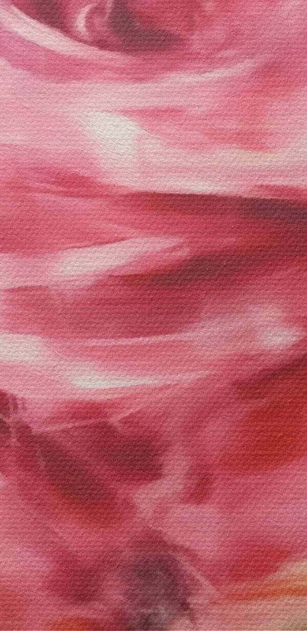Painting of a pink rose Painting of a pink rose