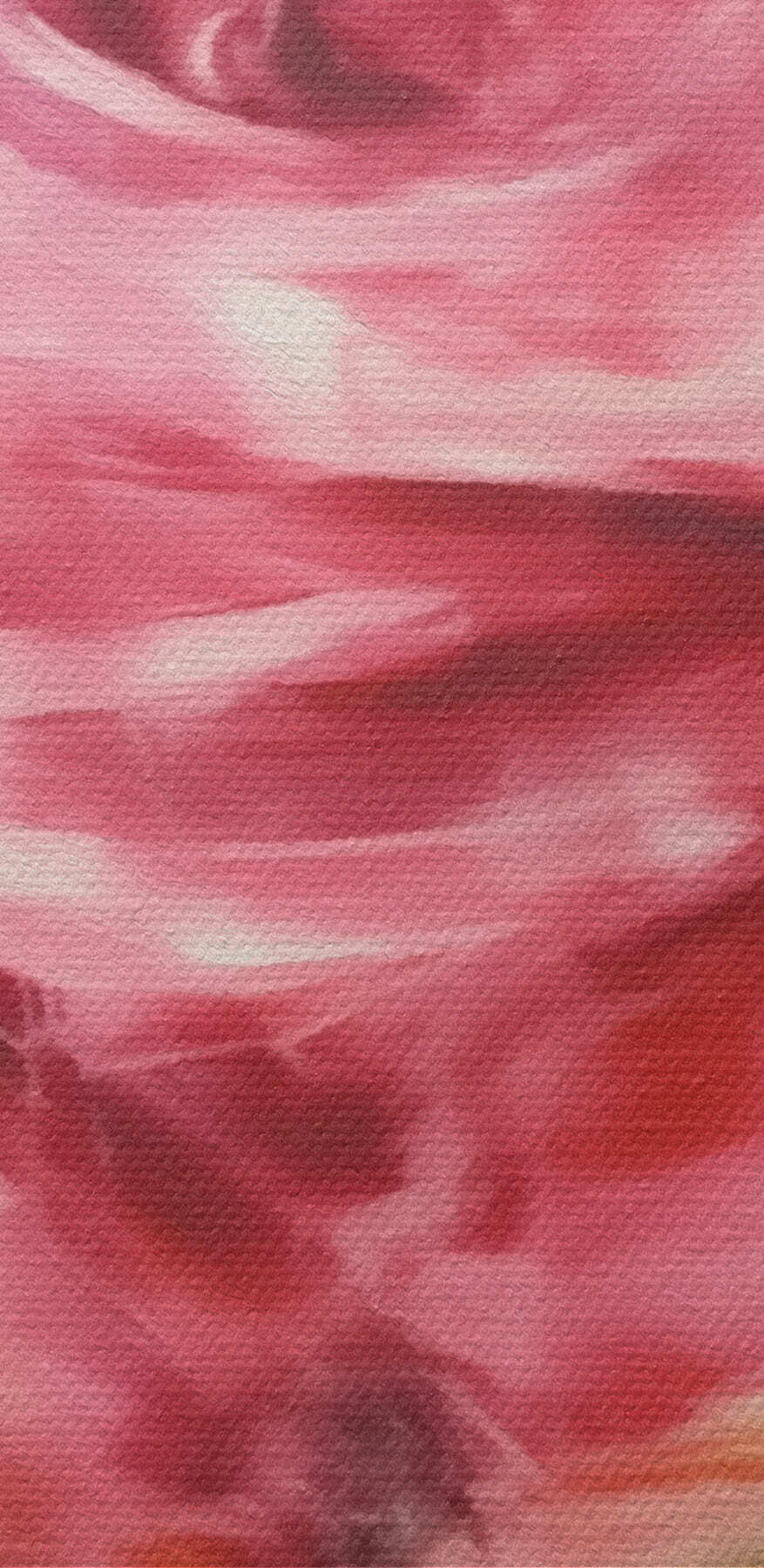 Painting of a pink rose Painting of a pink rose