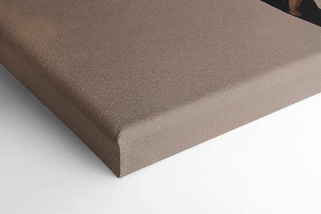 Delicate pink orchid in full bloom