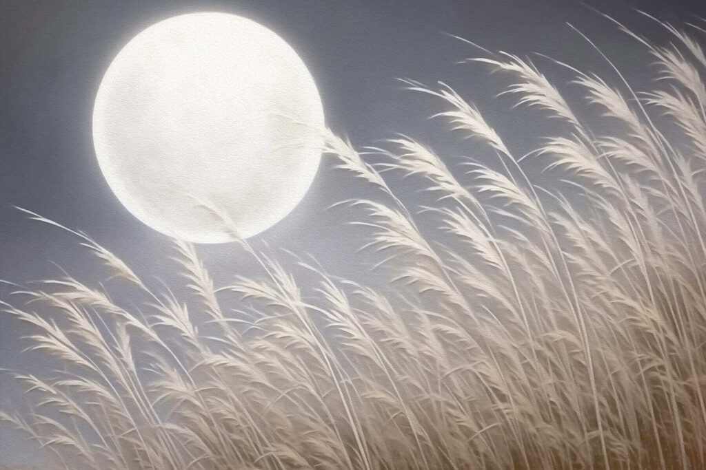 Moon in the sky Moon in the sky