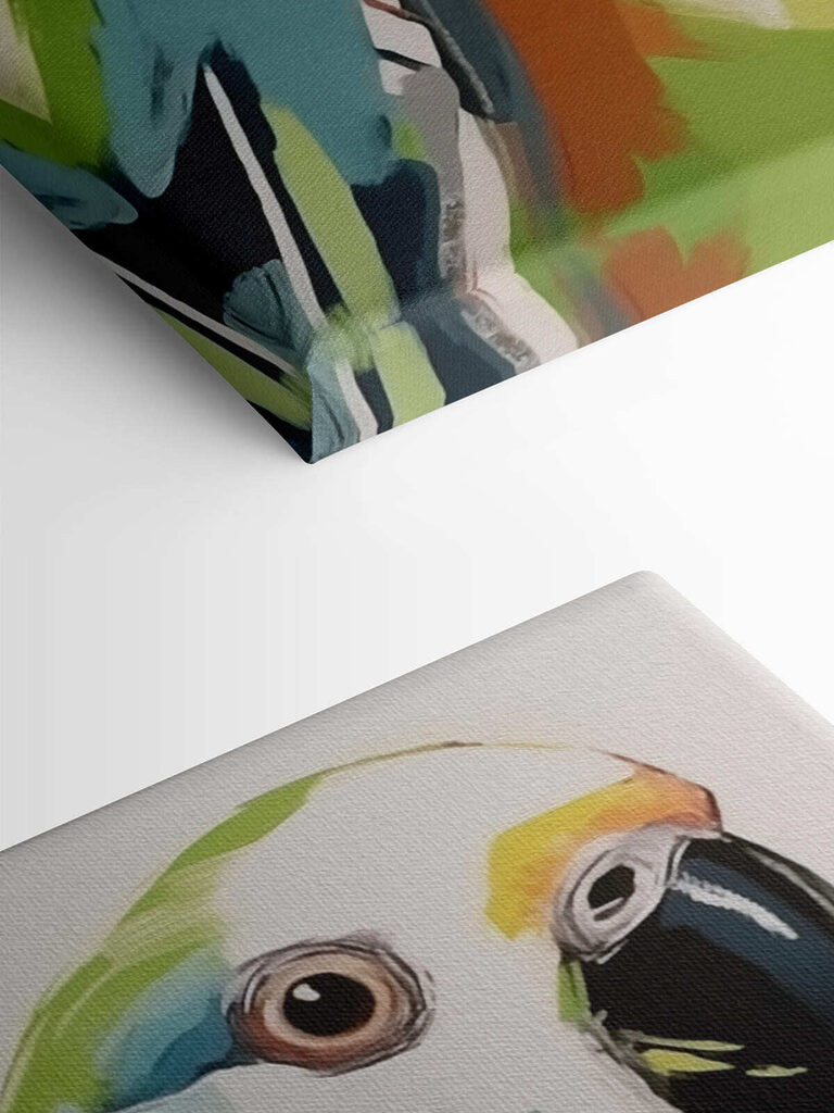 Colorful bird with black beak