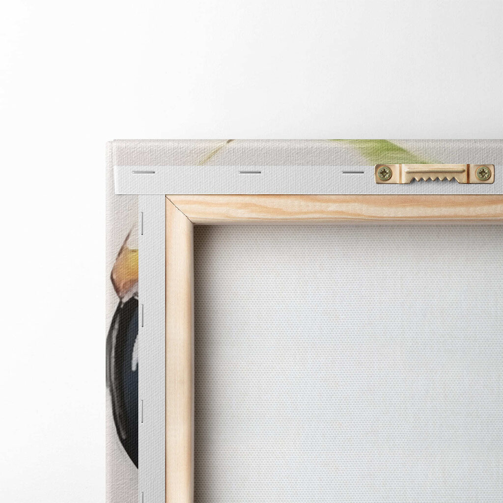 Colorful bird with black beak