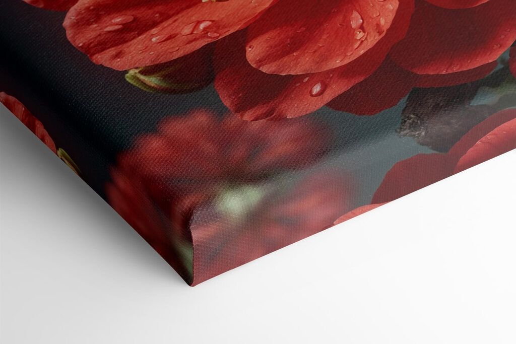 Vibrant bloom with delicate water droplets Vibrant bloom with delicate water droplets