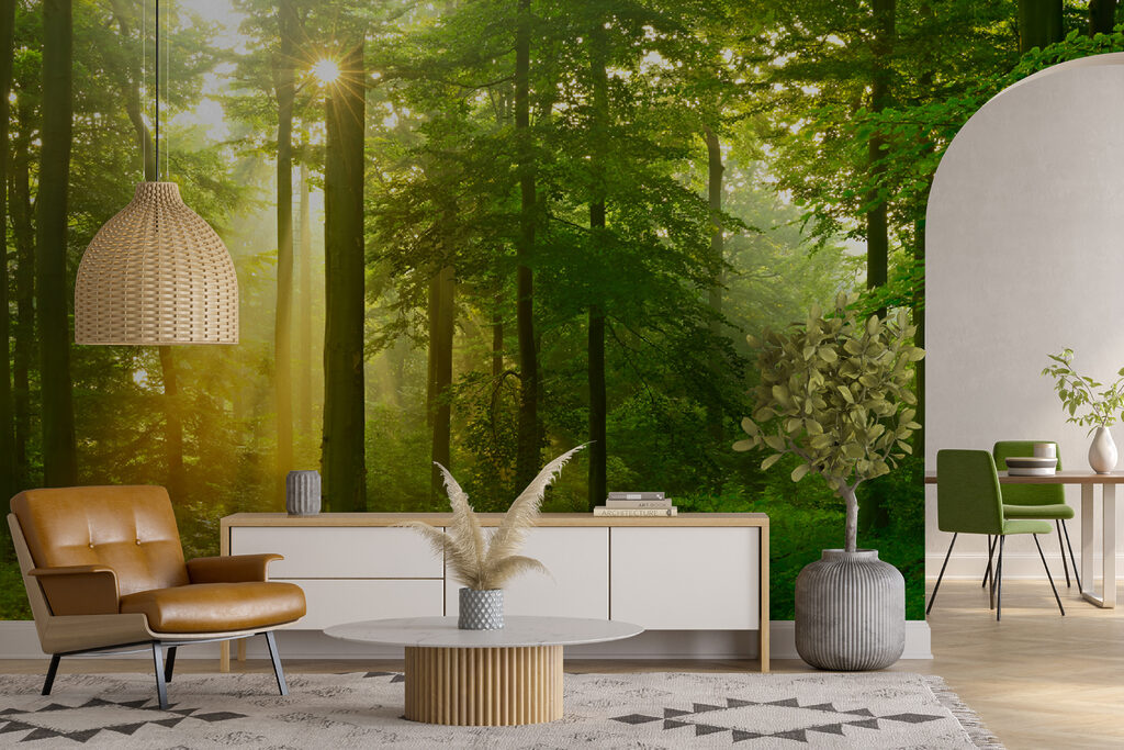 Sun shining through trees