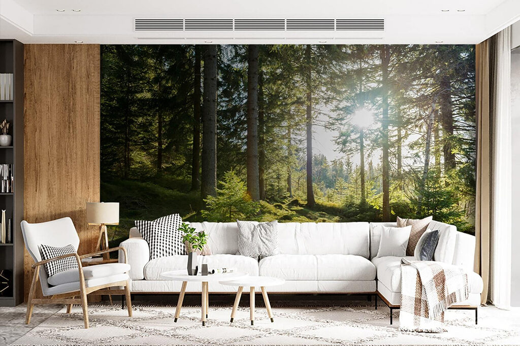 Sun shining through trees