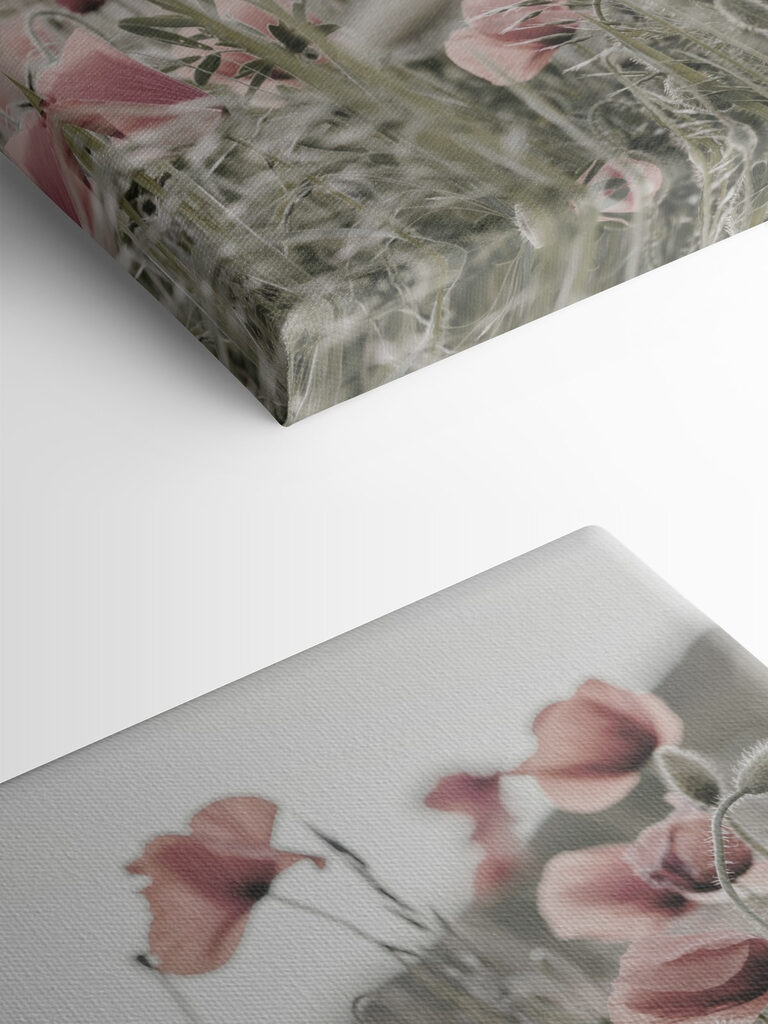 A field of pink flowers A field of pink flowers