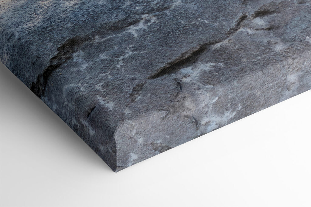 A couple of lions lying on a rock A couple of lions lying on a rock