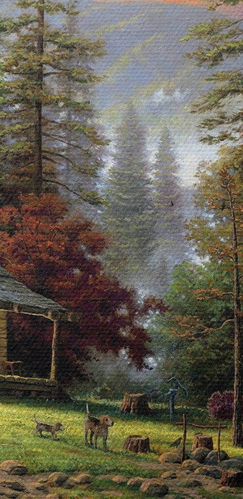 A house by a river A house by a river