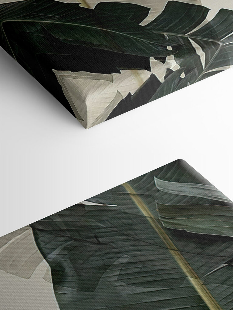 A close up of leaves A close up of leaves