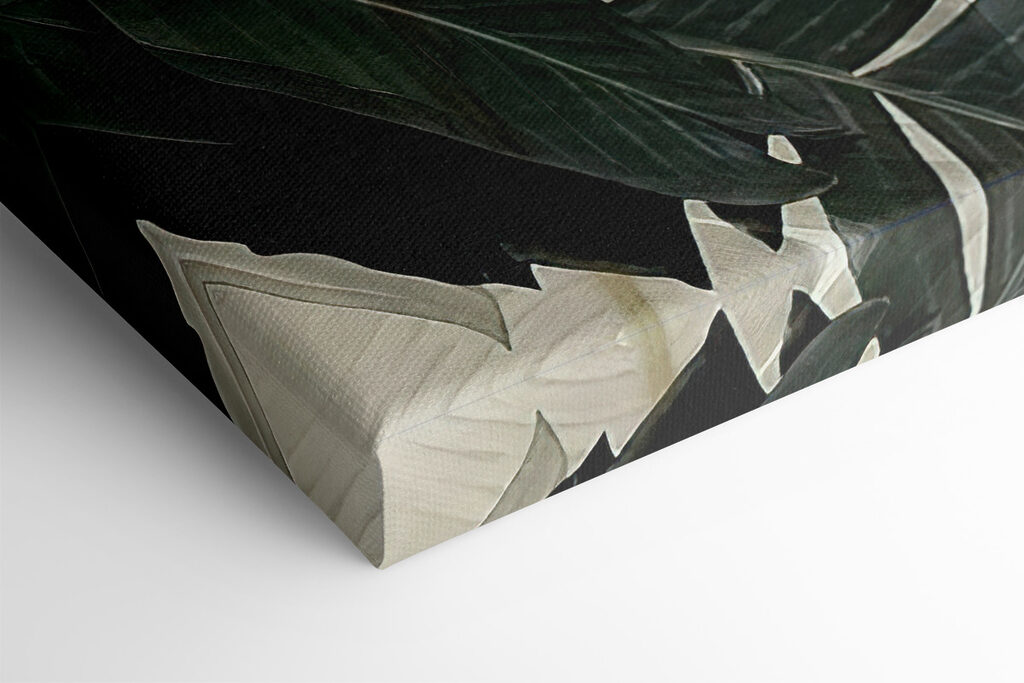 A close up of leaves A close up of leaves