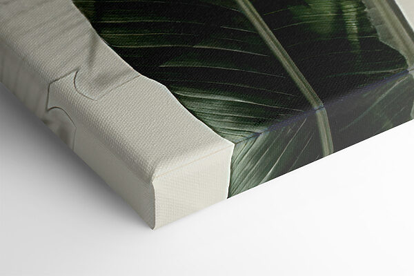 A close up of a plant