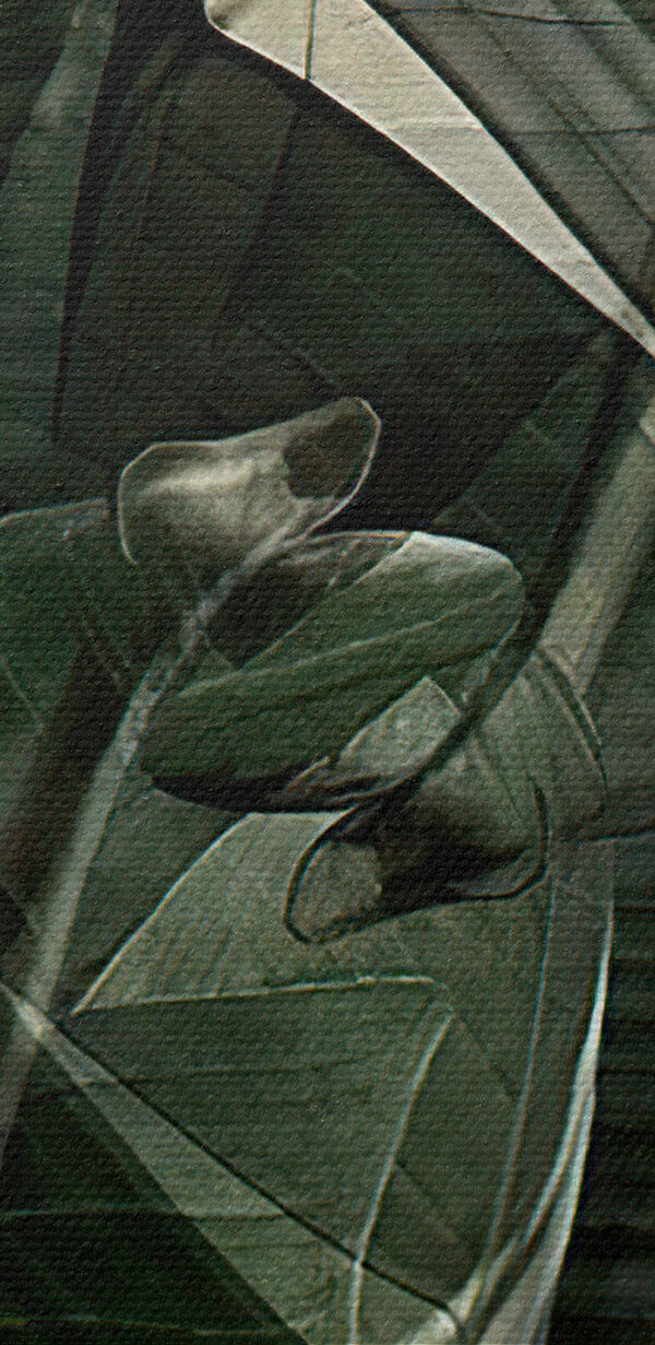 A close up of a plant