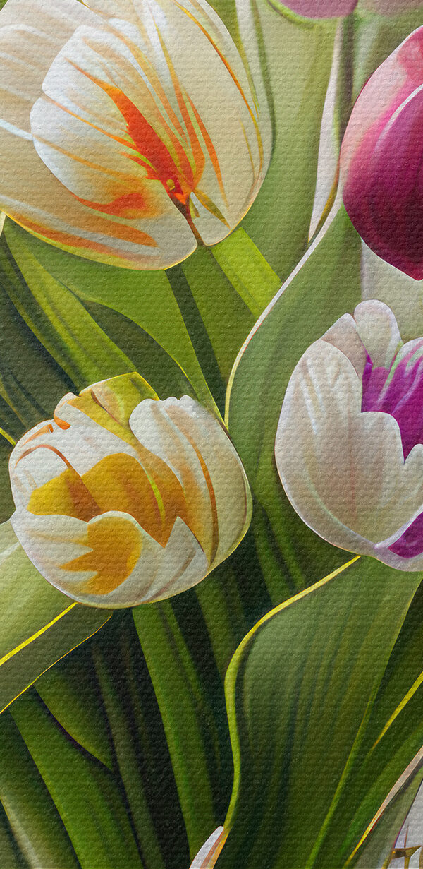 A bouquet of tulips in a glass vase A bouquet of tulips in a glass vase