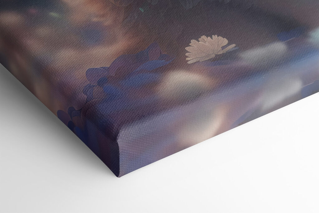 A white fluffy cat with blue eyes A white fluffy cat with blue eyes