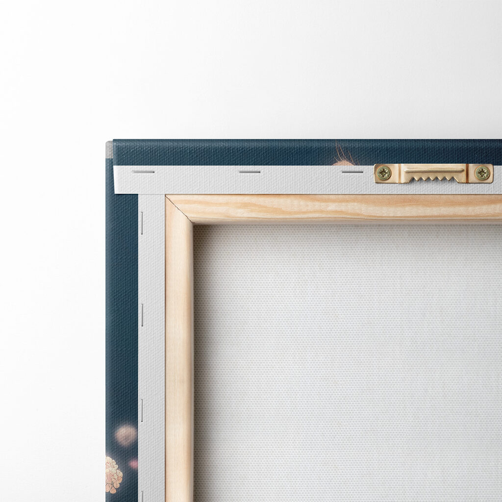 A white fluffy cat with blue eyes A white fluffy cat with blue eyes