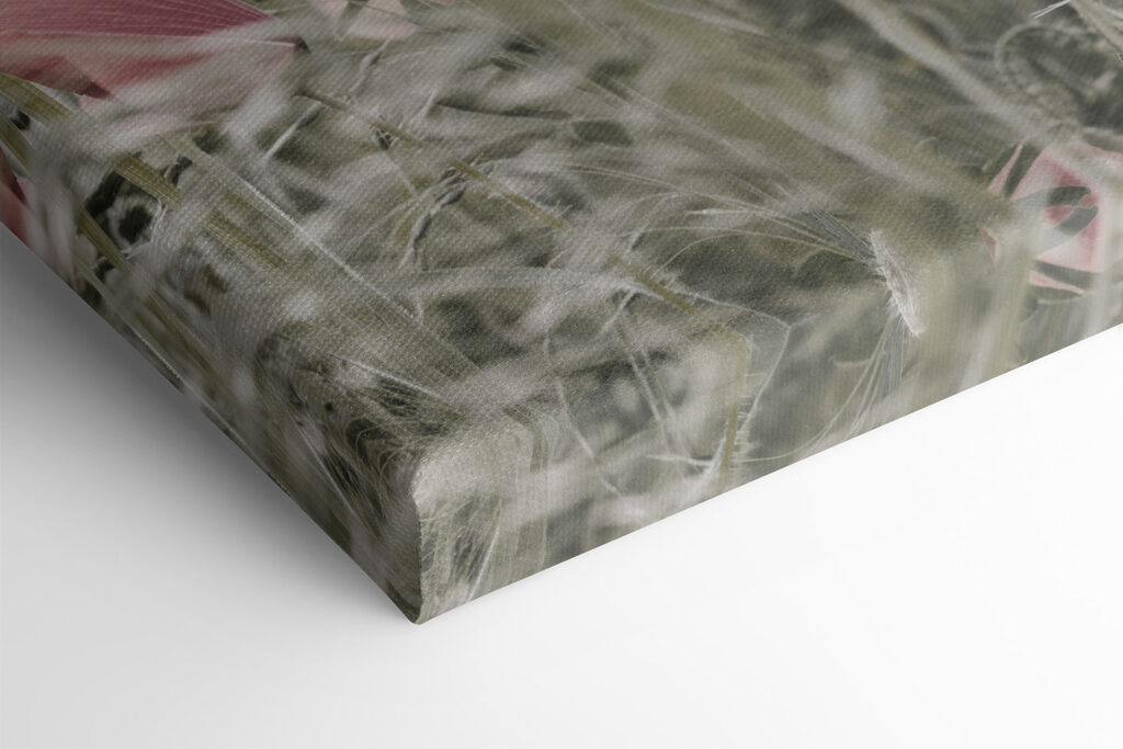 A field of pink flowers A field of pink flowers