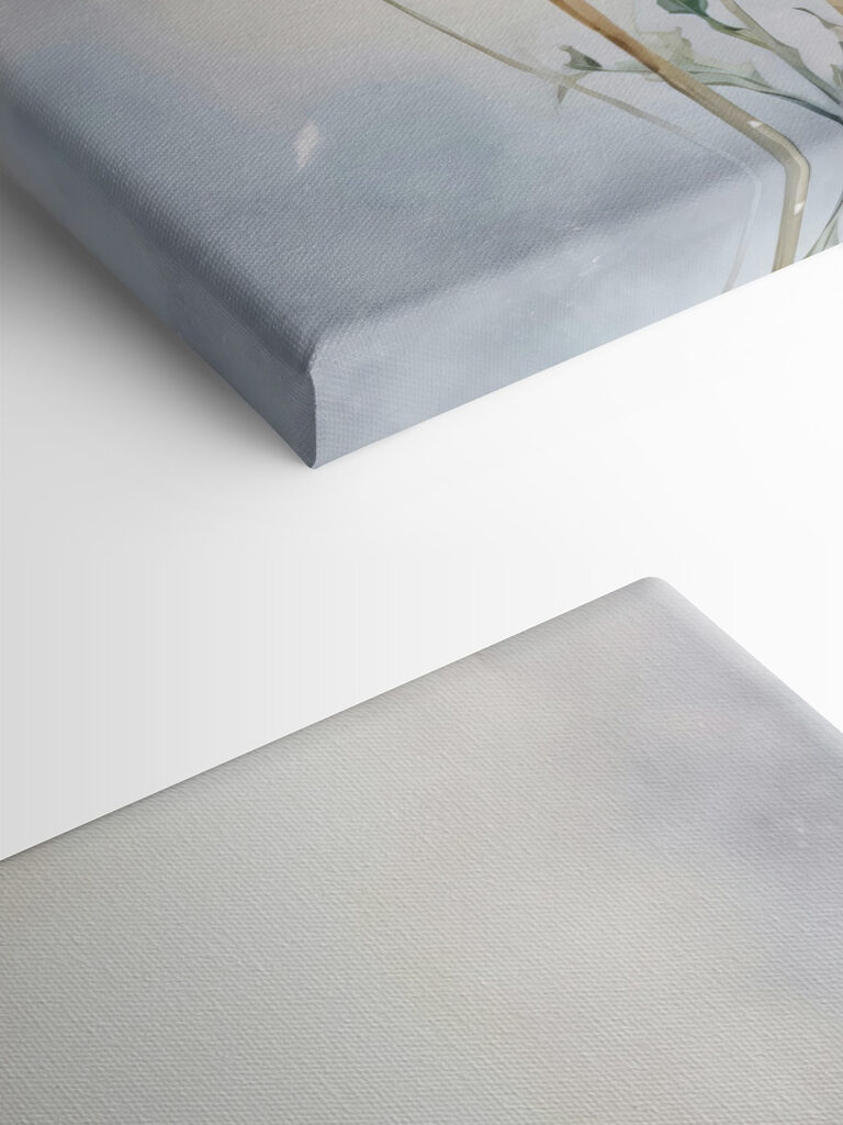 A group of dandelions in a field