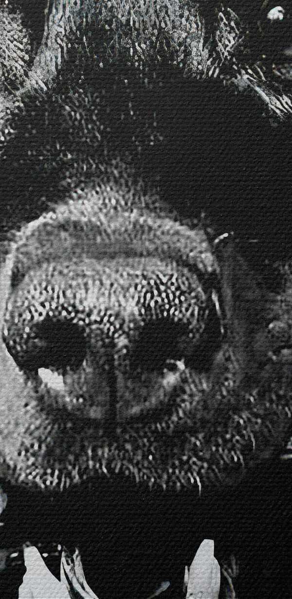 A dog holding a gun A dog holding a gun