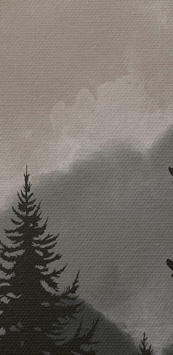 A group of trees in a forest A group of trees in a forest