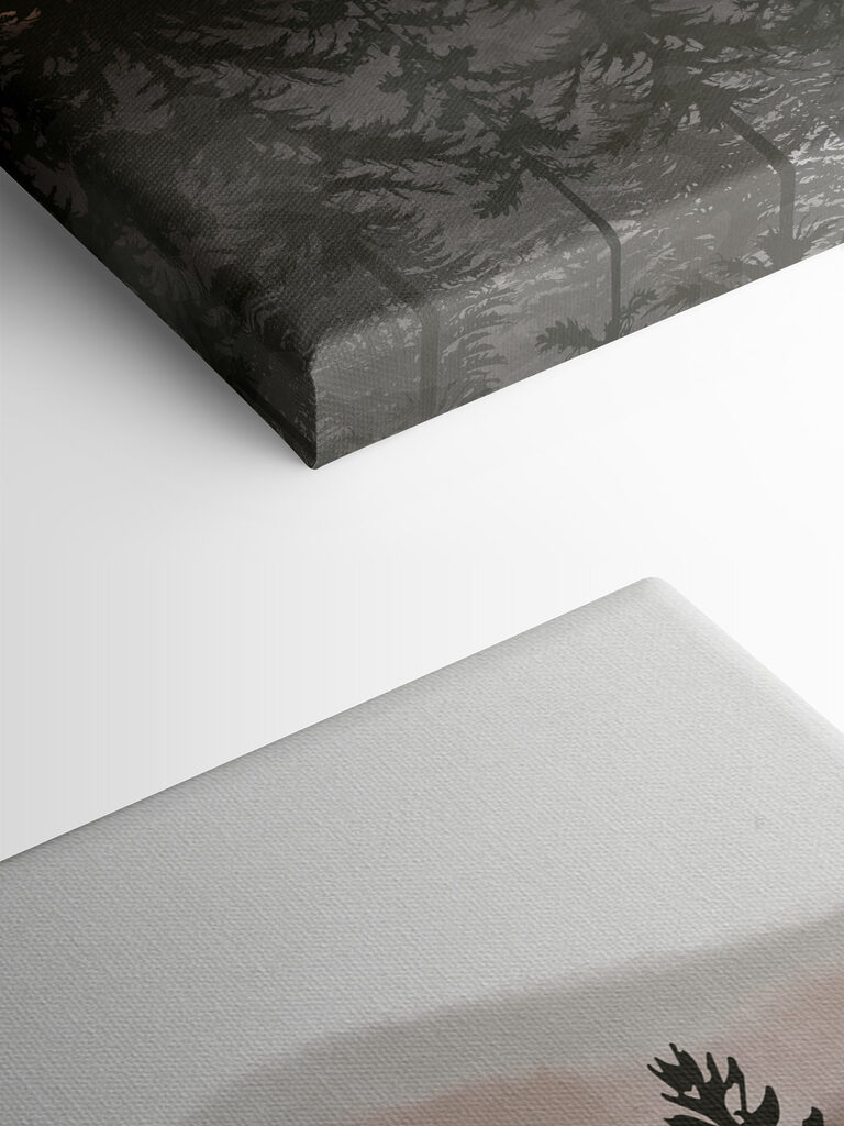 A group of trees in a forest A group of trees in a forest