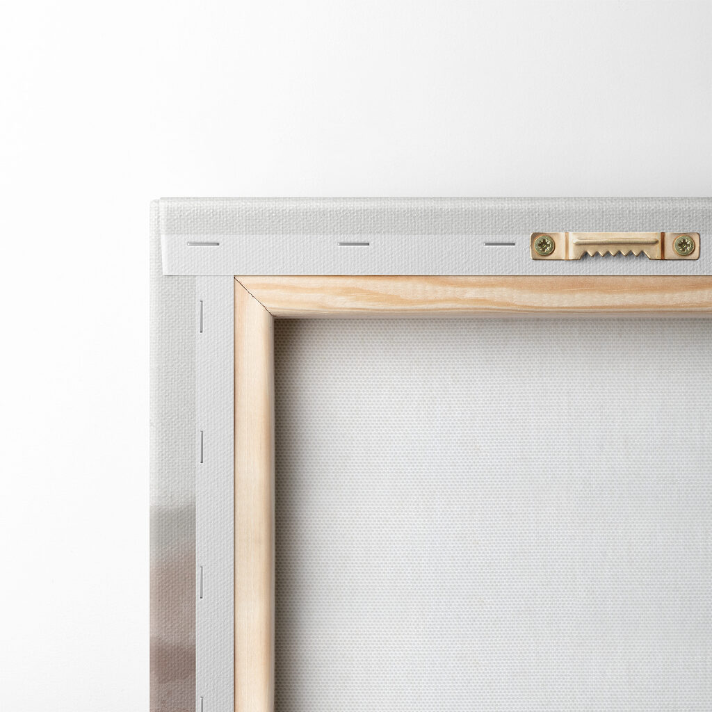 A group of trees in a forest A group of trees in a forest