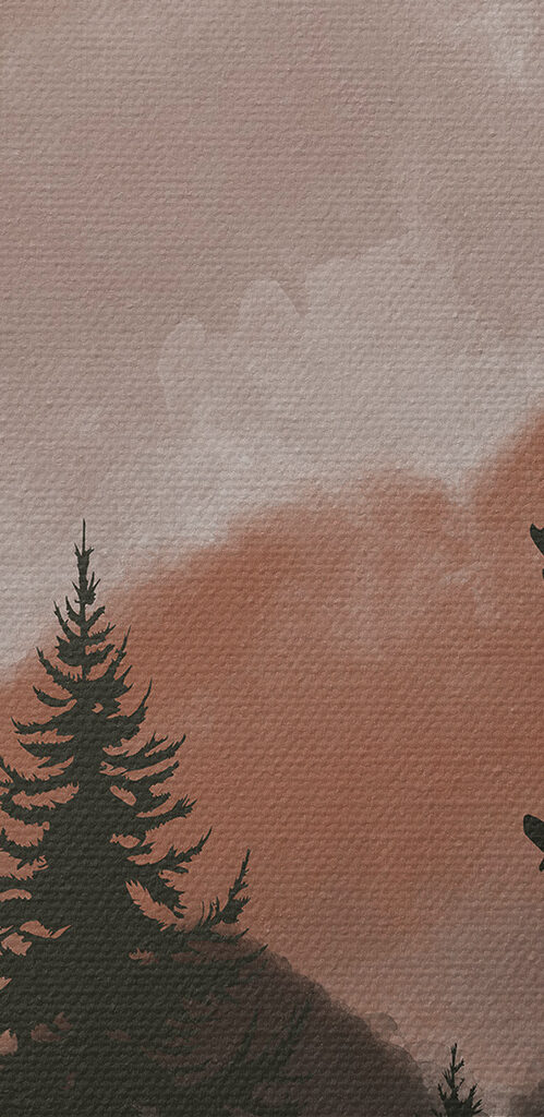 A group of trees in a forest A group of trees in a forest