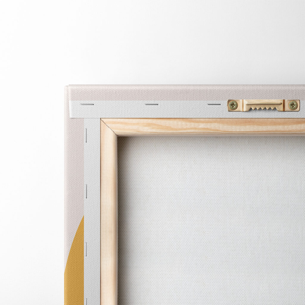 A fruit and leaves on a white background A fruit and leaves on a white background