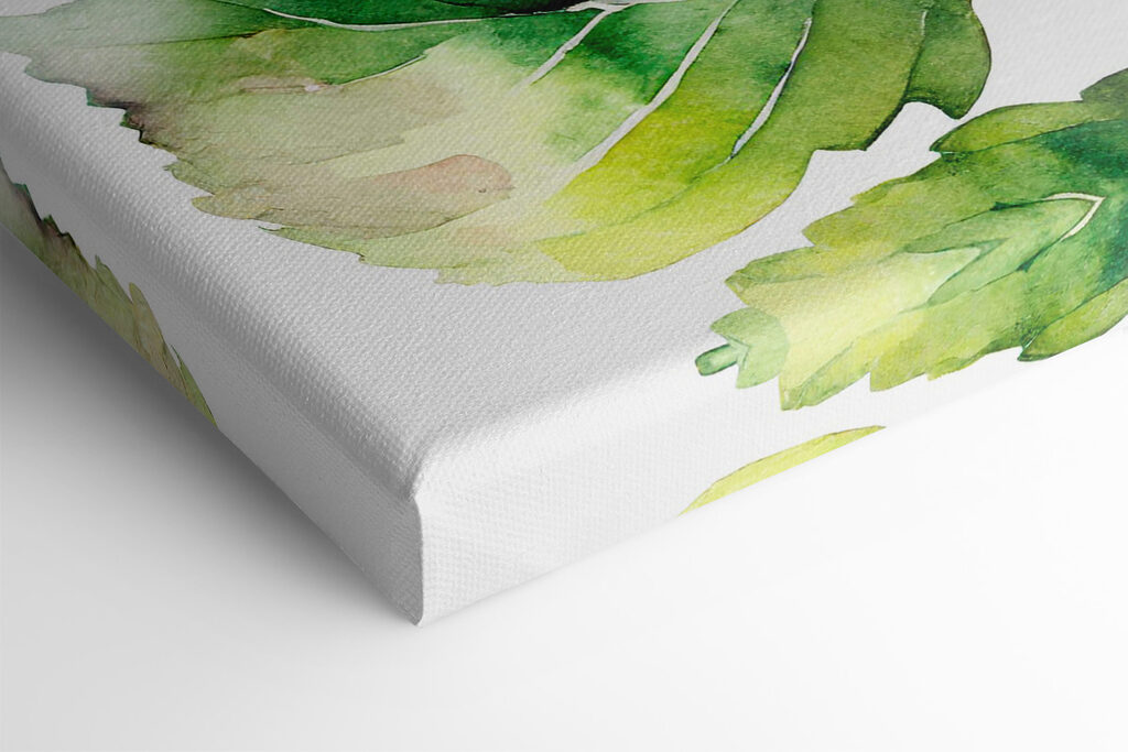 A watercolor of a flower