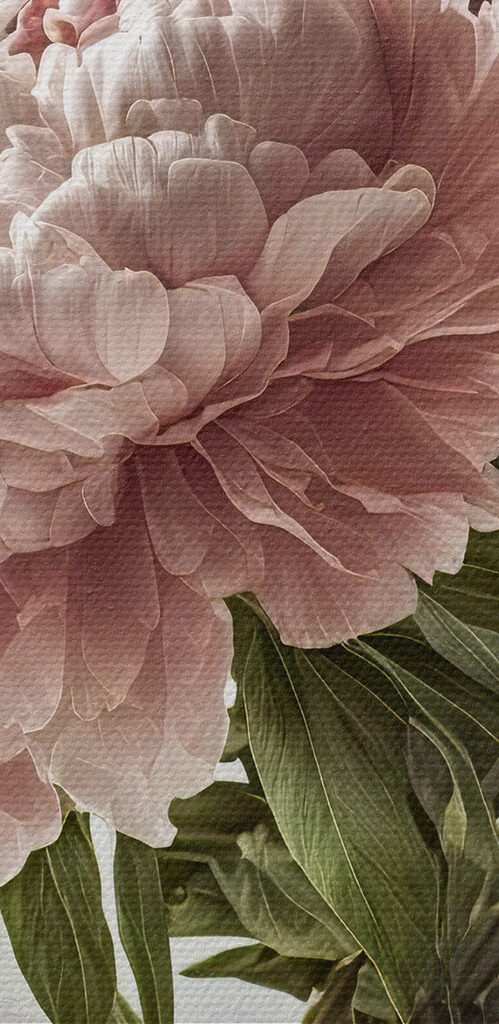 A vase of pink and white flowers