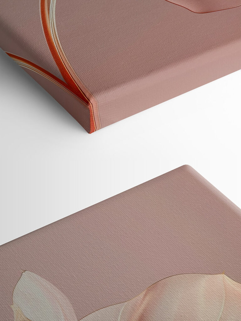 Close up of a flower Close up of a flower