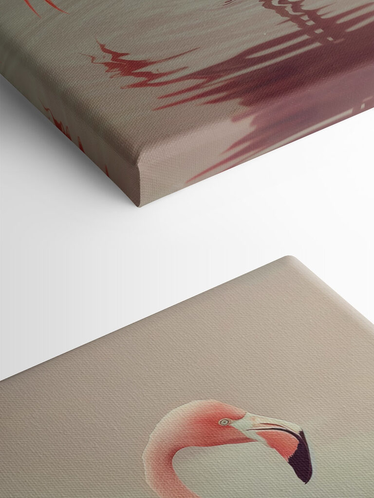 Flamingo standing in water Flamingo standing in water