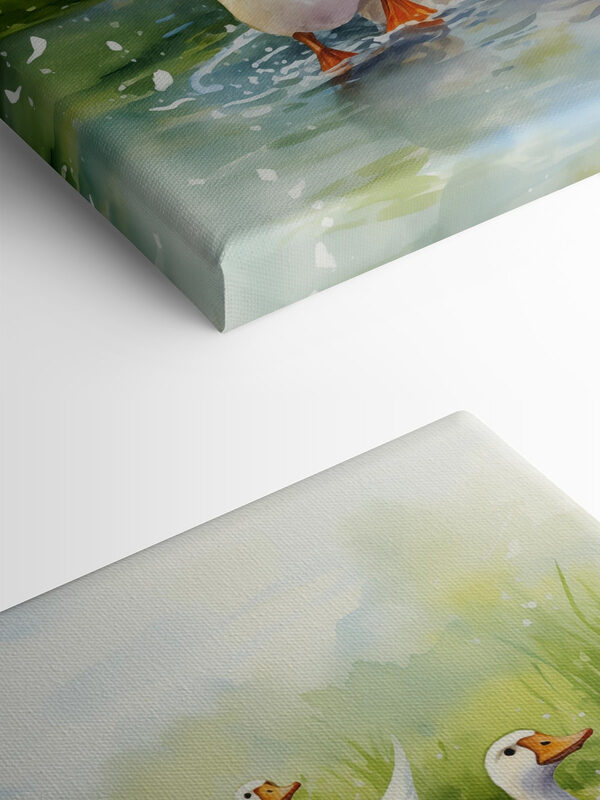 Group of white ducks swimming in water Group of white ducks swimming in water