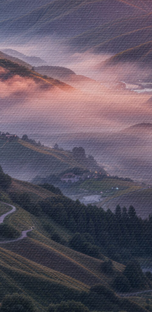 Valley with flowers and a river
