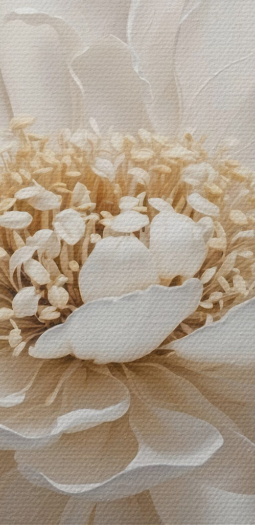 Delicate petals in soft colors Delicate petals in soft colors