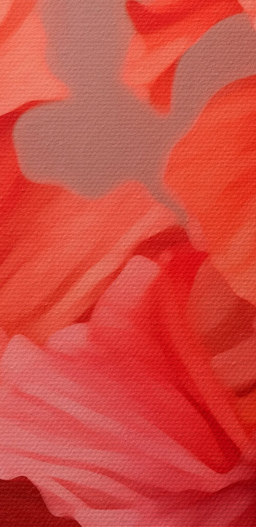 Vibrant blooms in soft hues Vibrant blooms in soft hues