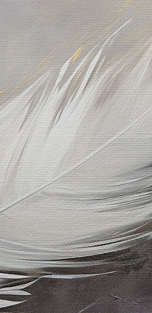 White feather on a grey background