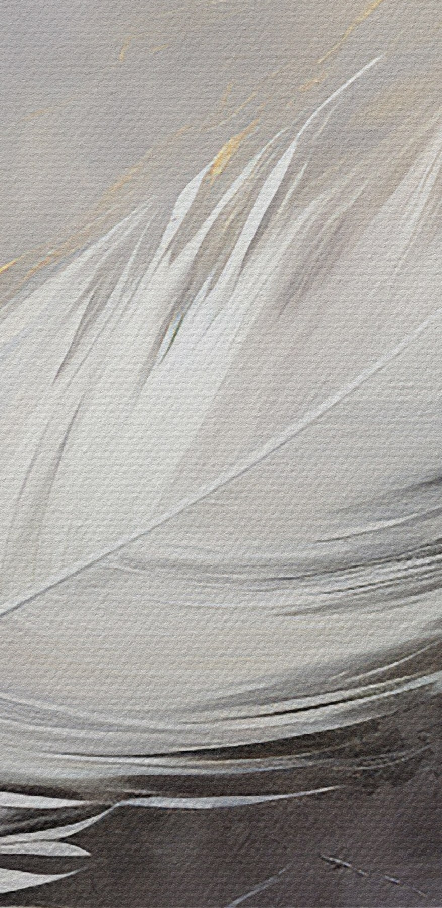 White feather on a grey background White feather on a grey background