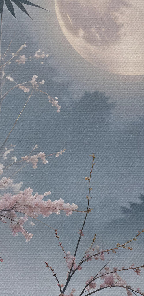 Full moon in the sky Full moon in the sky