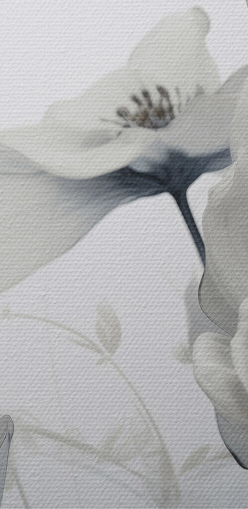 Delicate petals in soft tones Delicate petals in soft tones