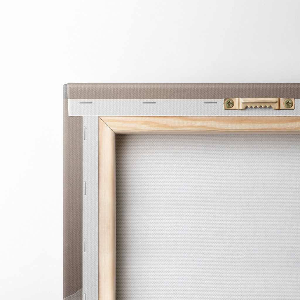 Delicate petals in soft hues