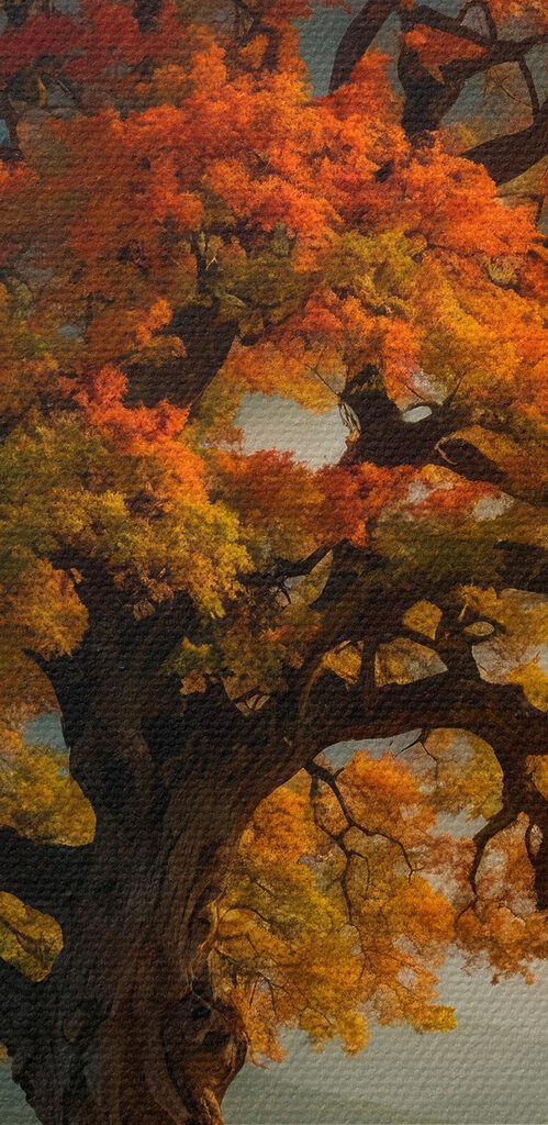 Tree with orange and yellow leaves on a hill