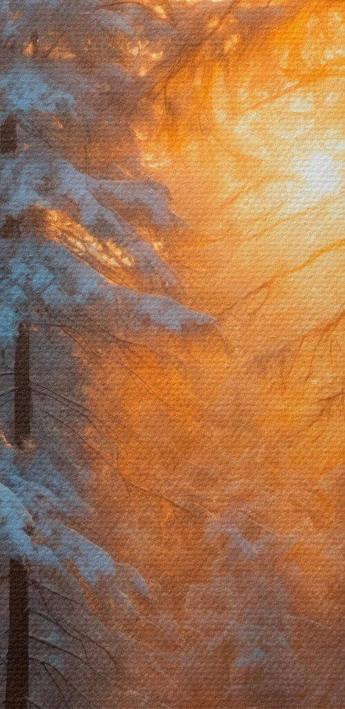 Snowy forest with trees and a stream Snowy forest with trees and a stream