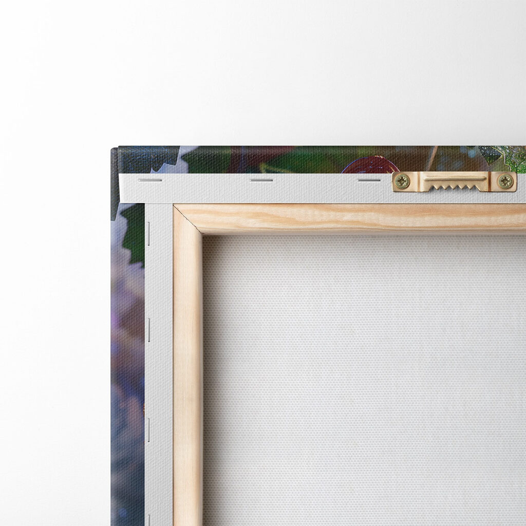 Bunch of grapes with water droplets on them