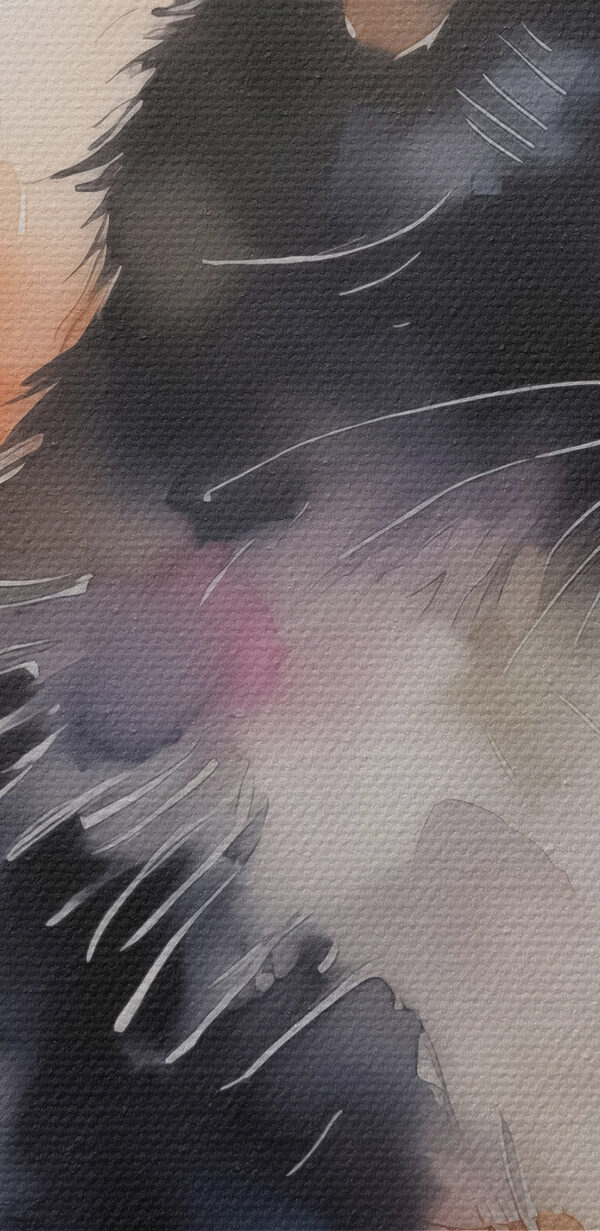 Cat with a white and black face