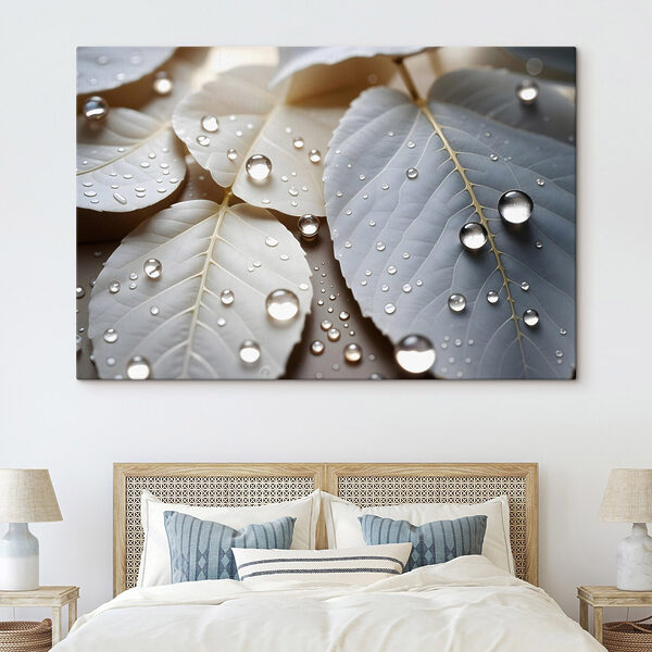Nature's delicate droplets on leaves Nature's delicate droplets on leaves