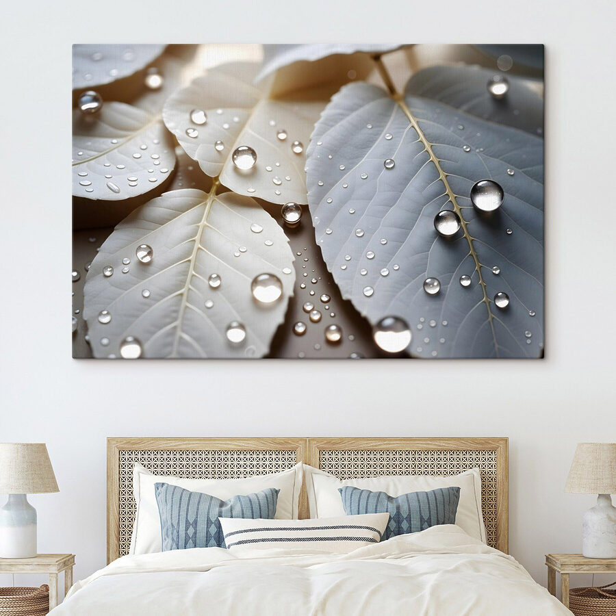 Nature's delicate droplets on leaves Nature's delicate droplets on leaves