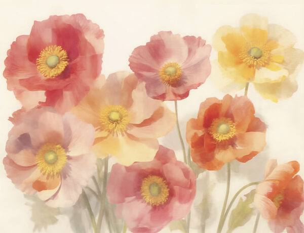 Group of flowers on a white background